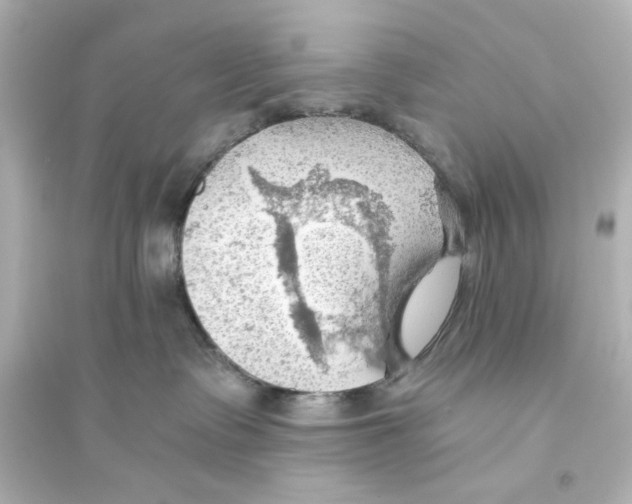 X0000093560335200711121020