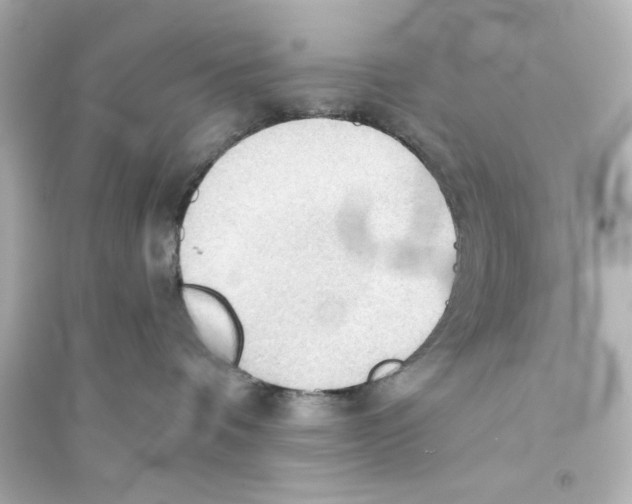 X0000093560336200711121020