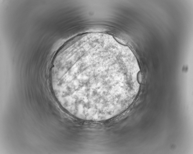 X0000093560337200711121019