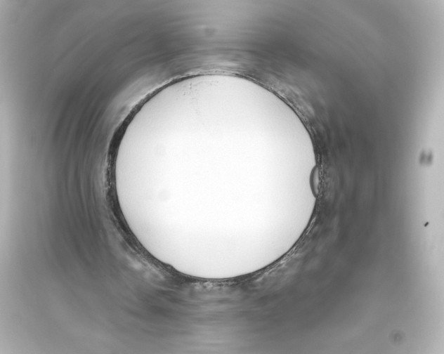 X0000093560338200711121019