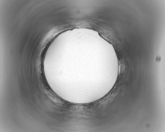 X0000093560339200711121019