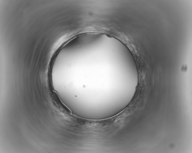 X0000093560340200711121019