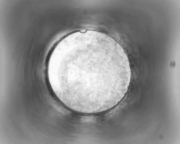 X0000093560342200711121019