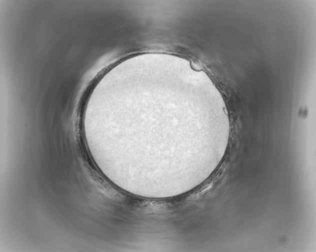 X0000093560343200711121019