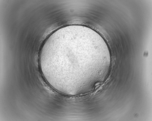X0000093560345200711121019