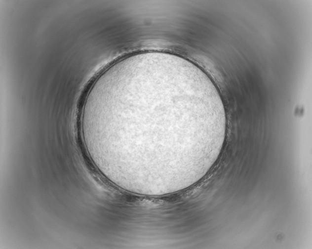 X0000093560346200711121019