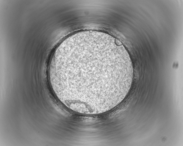 X0000093560347200711121019