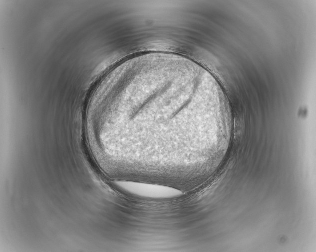 X0000093560349200711121019