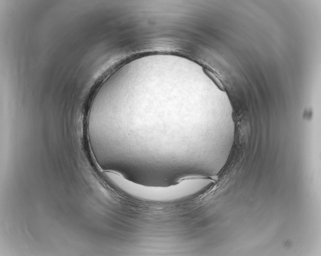 X0000093560350200711121019