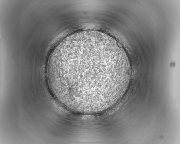 X0000093560353200711121019