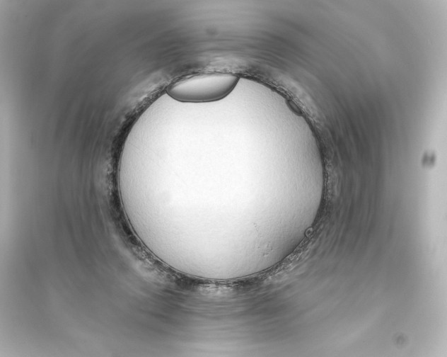 X0000093560354200711121019