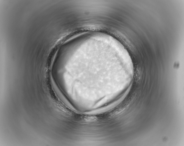 X0000093560355200711121019