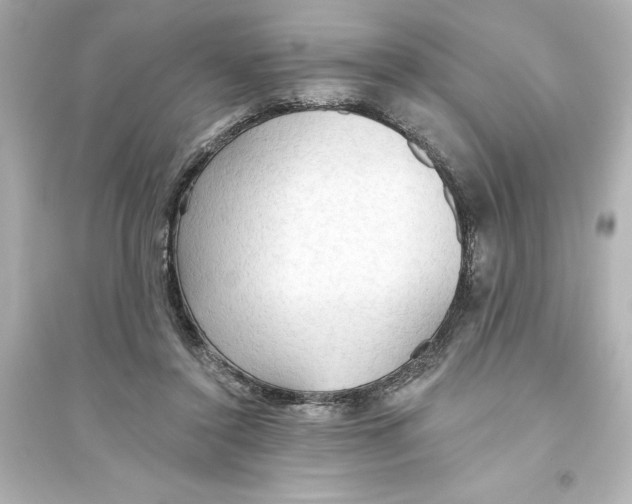 X0000093560356200711121019