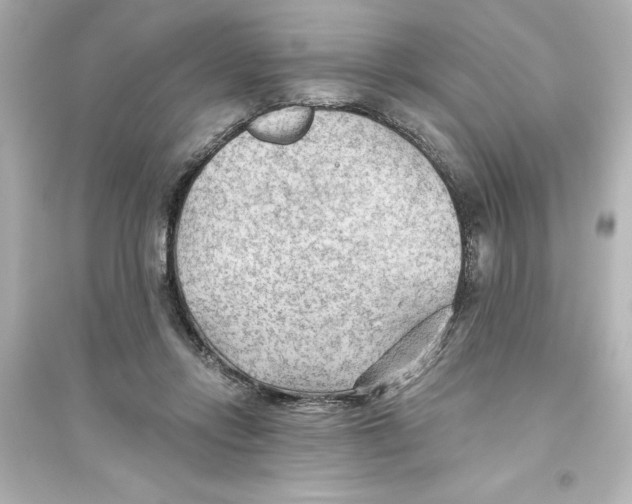 X0000093560358200711121019