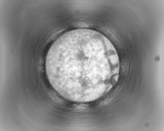 X0000093560359200711121019