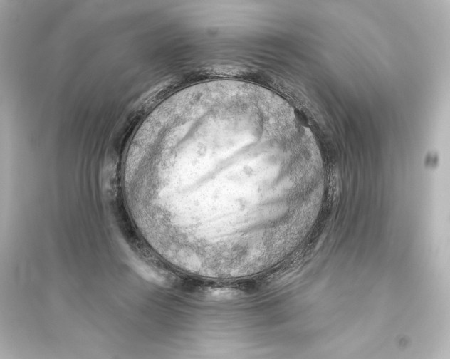X0000093560360200711121019