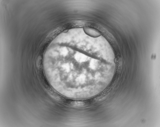 X0000093560361200711121019