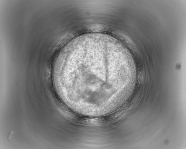 X0000093560365200711121019