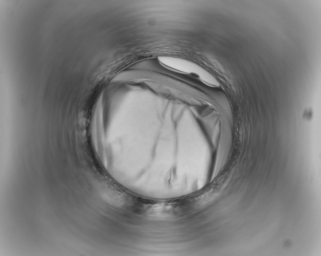 X0000093560366200711121019