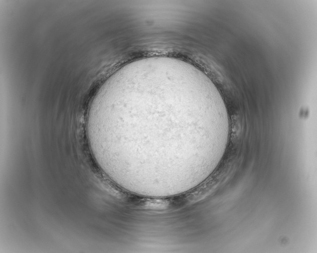 X0000093560369200711121019