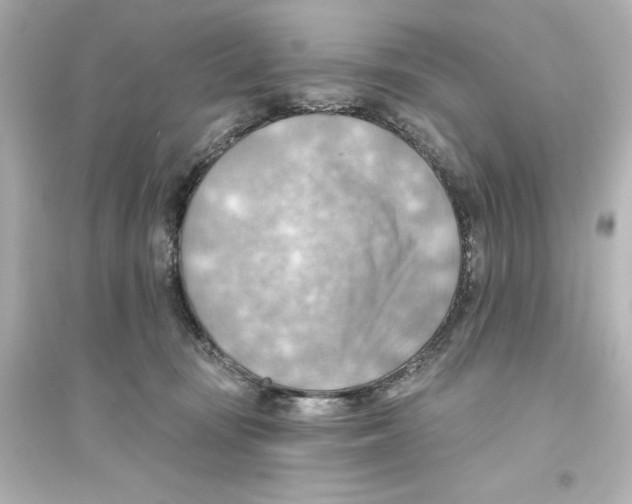 X0000093560371200711121019