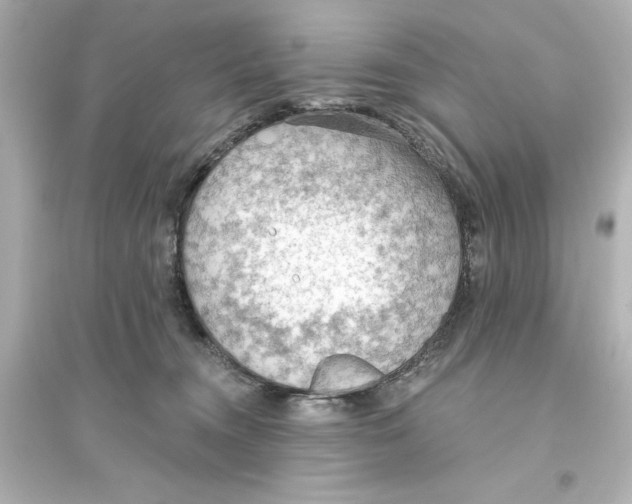 X0000093560372200711121019