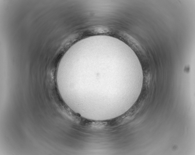 X0000093560373200711121019