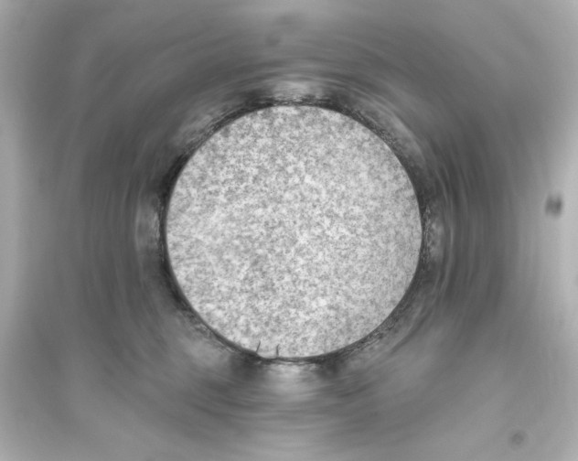 X0000093560375200711121019