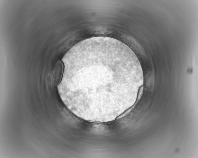 X0000093560376200711121019