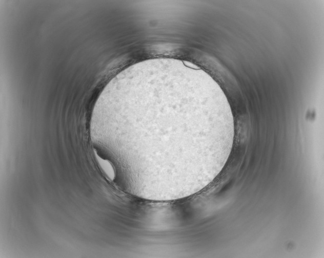 X0000093560377200711121020