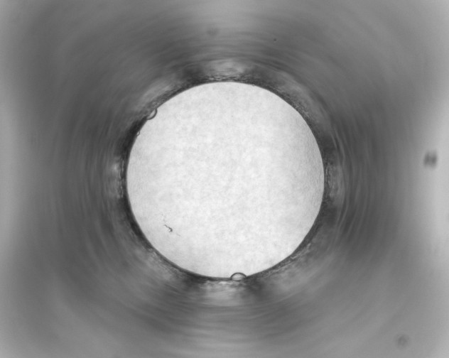 X0000093560378200711121020