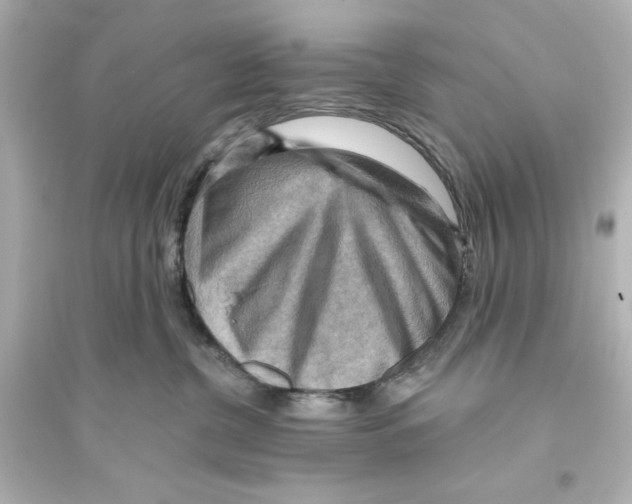 X0000093560380200711121020