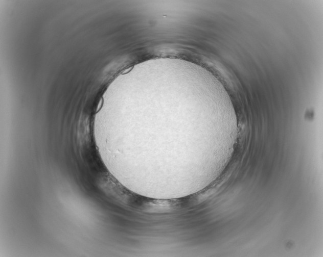X0000093560381200711121020