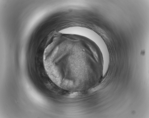 X0000093560382200711121020