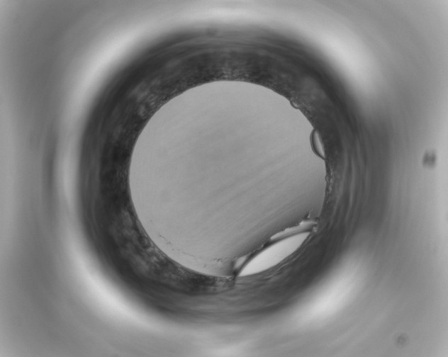 X0000093560383200711121020