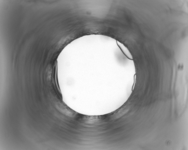 X0000093560384200711121020