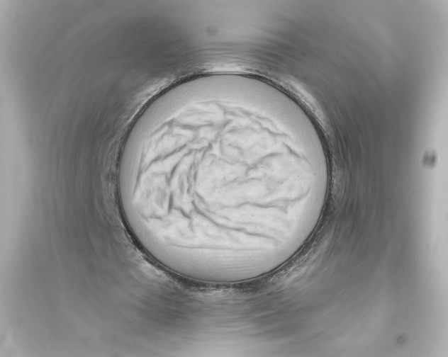 X0000093560385200711121019
