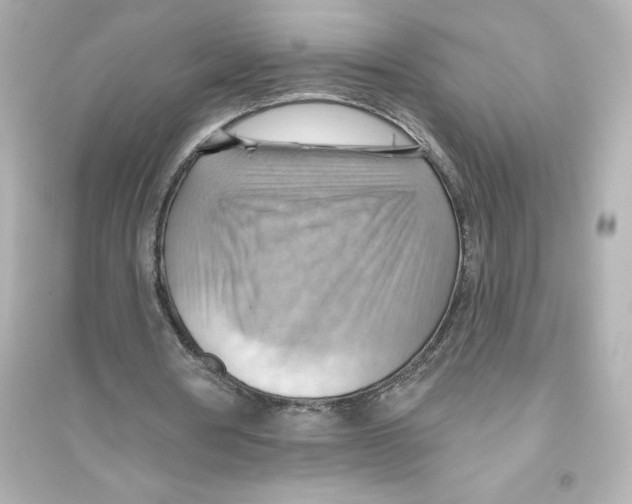 X0000093560386200711121019