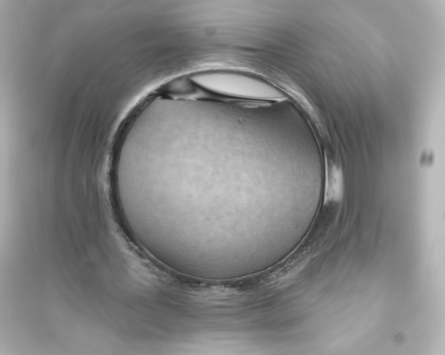 X0000093560387200711121019