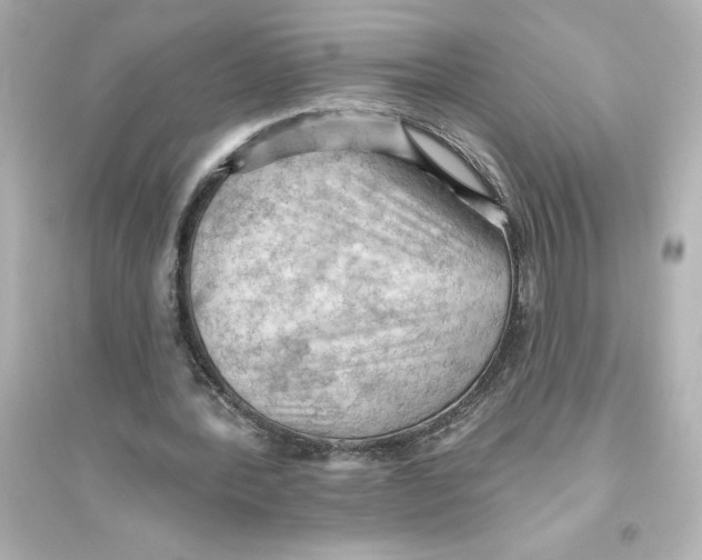 X0000093560388200711121019