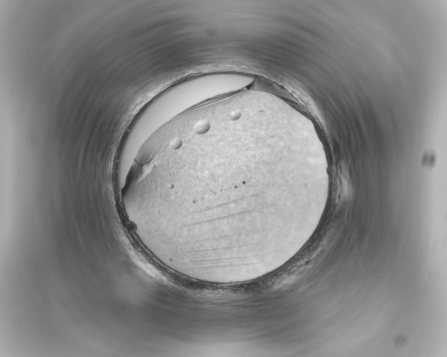 X0000093560389200711121019