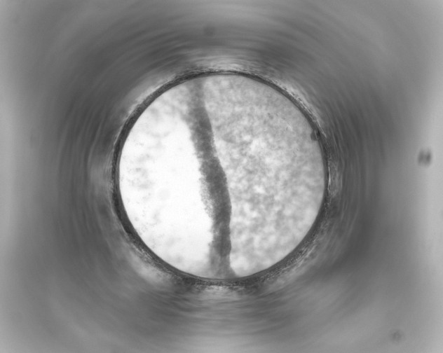 X0000093560390200711121019