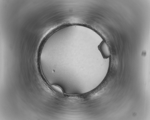 X0000093560391200711121019