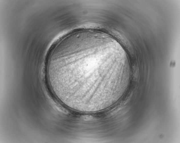 X0000093560392200711121019