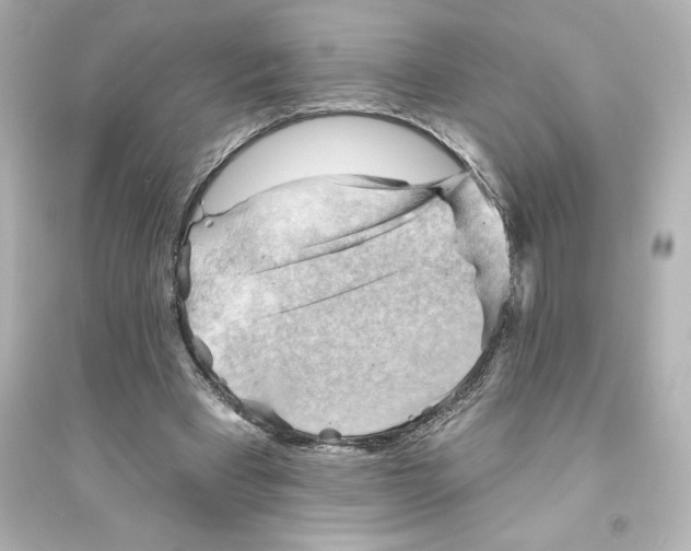 X0000093560393200711121019