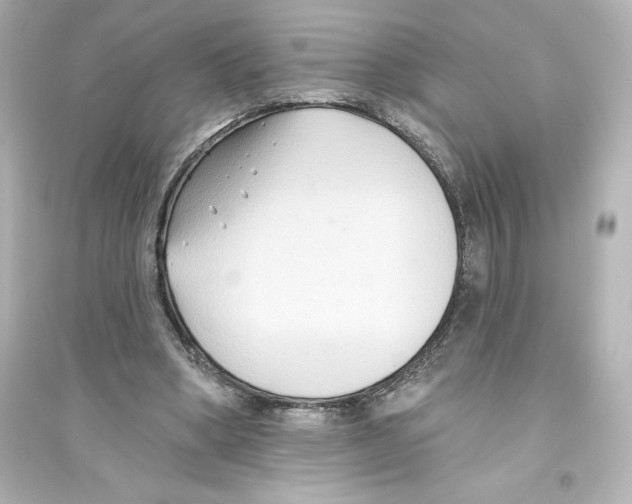 X0000093560394200711121019