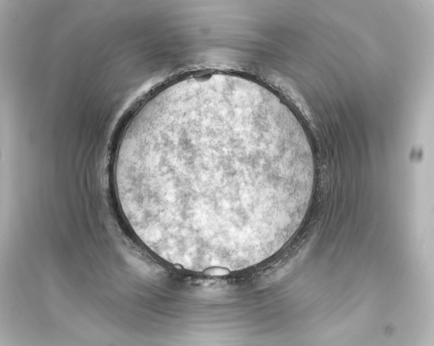 X0000093560395200711121019