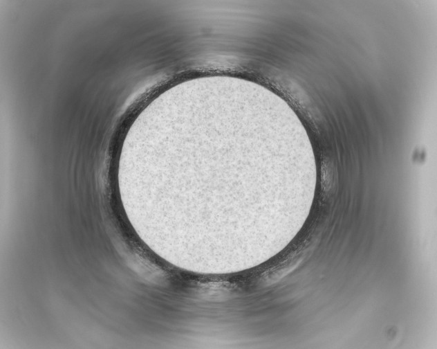 X0000093560396200711121019