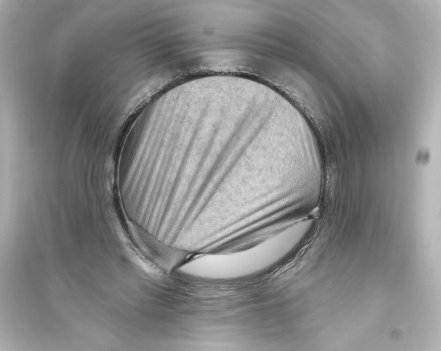 X0000093560397200711121019