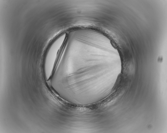 X0000093560399200711121019
